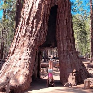 Meet your Posher, Sky